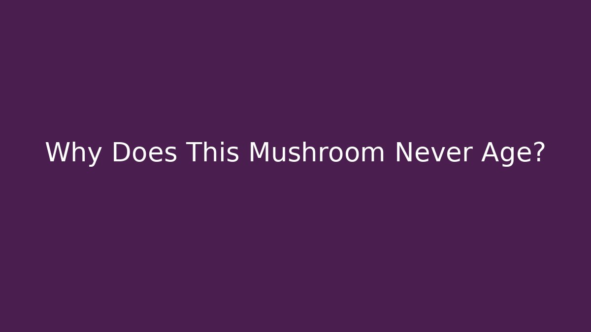 Why Does This Mushroom Never Age?