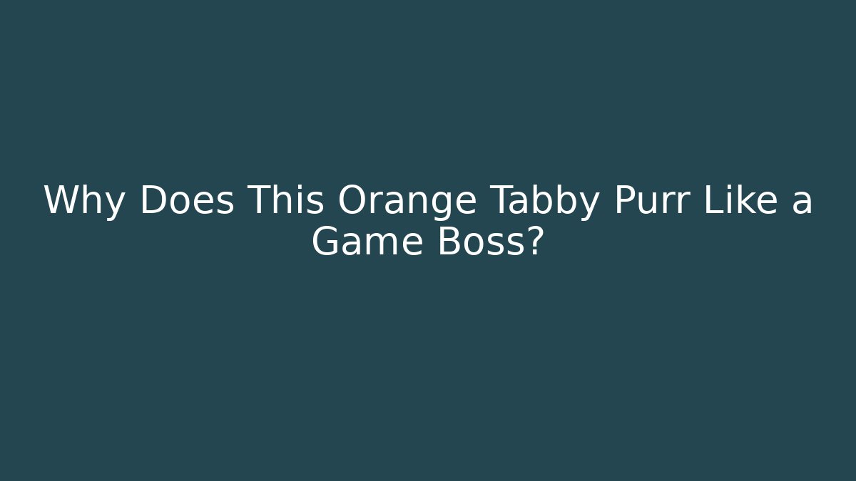 Why Does This Orange Tabby Purr Like a Game Boss? - Create More Assets