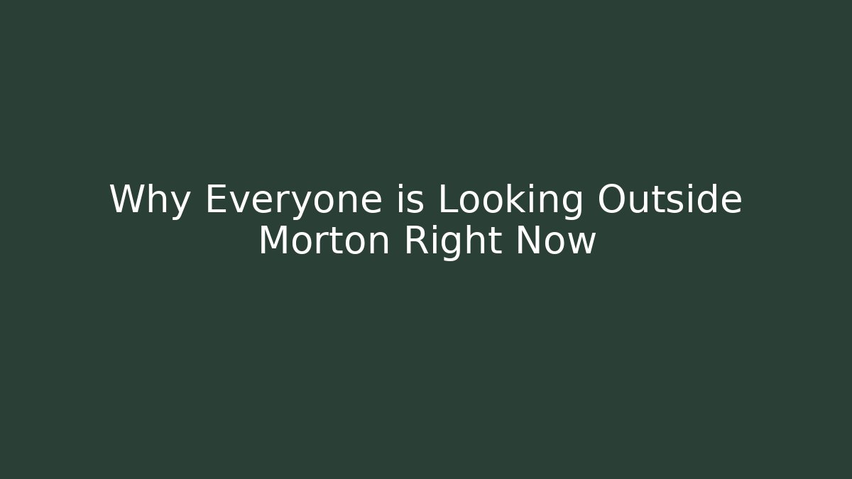 Why Everyone is Looking Outside Morton Right Now