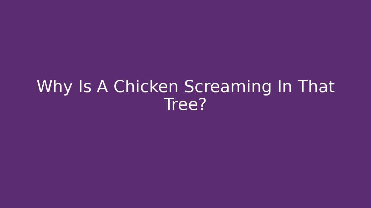 Why Is A Chicken Screaming In That Tree?