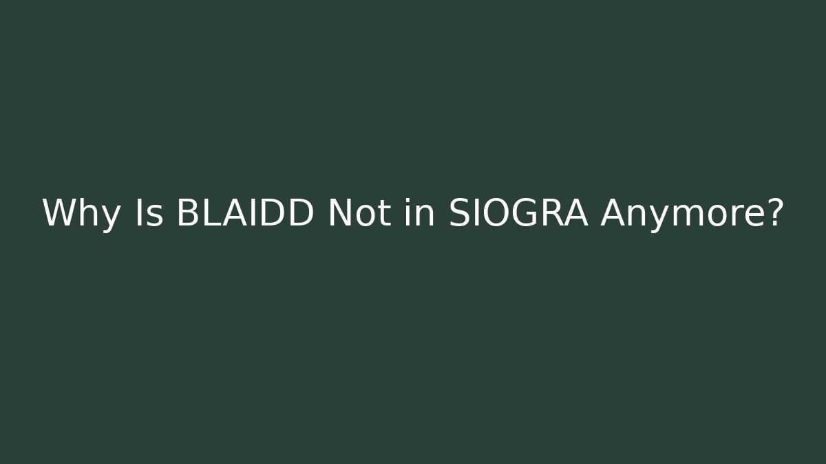 Why Is BLAIDD Not in SIOGRA Anymore? - Create More Assets
