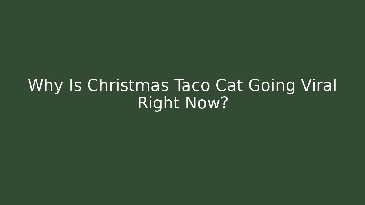 Why Is Christmas Taco Cat Going Viral Right Now?