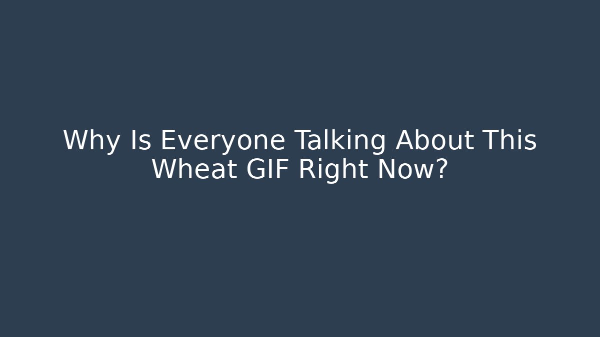 Why Is Everyone Talking About This Wheat GIF Right Now? - Create More Assets