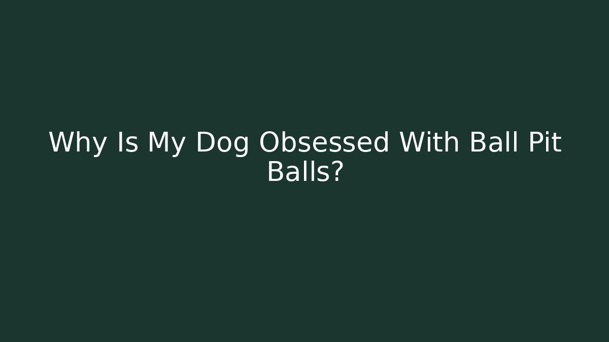 Why Is My Dog Obsessed With Ball Pit Balls? - Create More Assets
