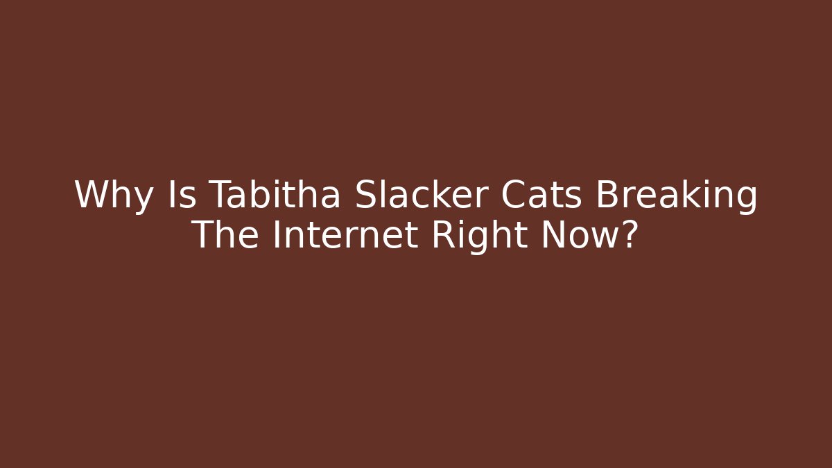 Why Is Tabitha Slacker Cats Breaking The Internet Right Now?