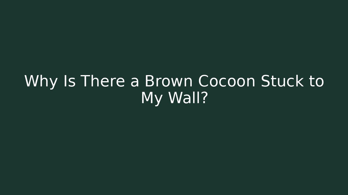 Why Is There a Brown Cocoon Stuck to My Wall? - Create More Assets