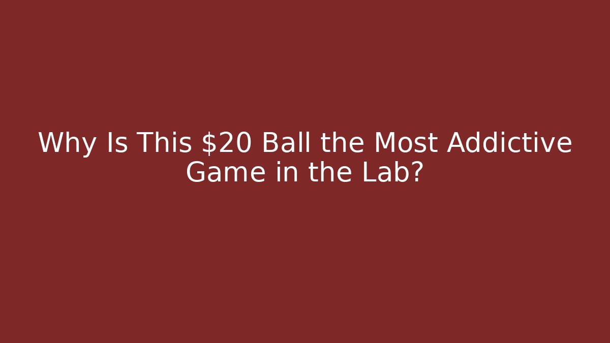 Why Is This $20 Ball the Most Addictive Game in the Lab?