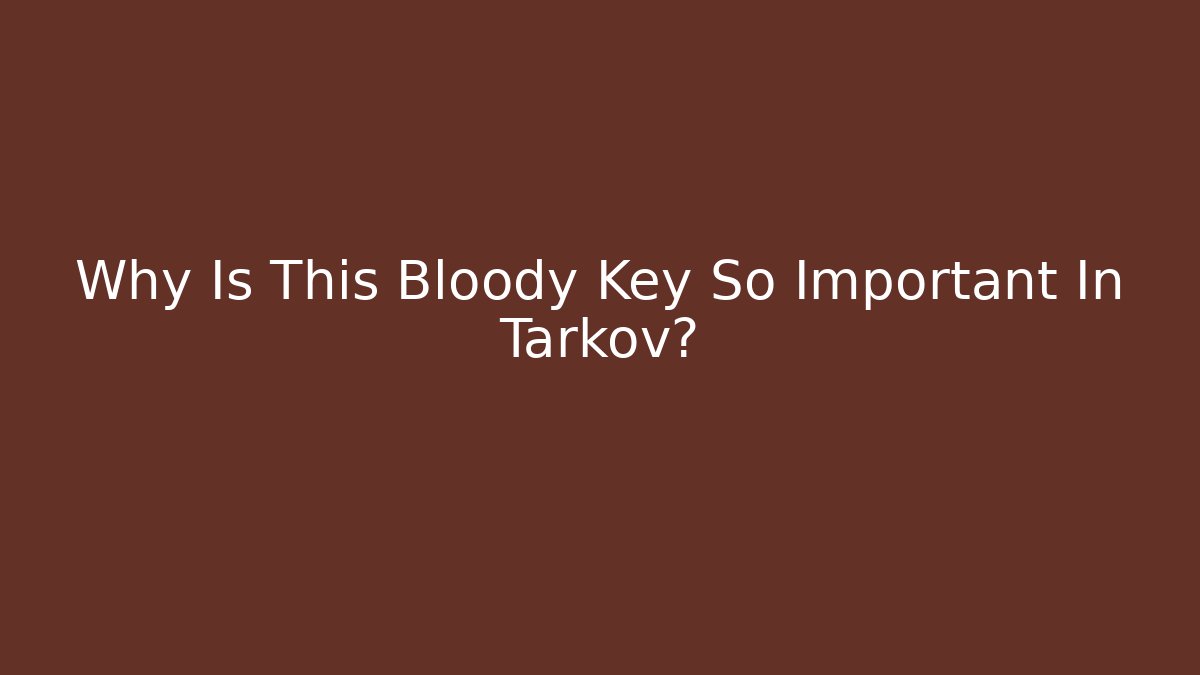 Why Is This Bloody Key So Important In Tarkov?