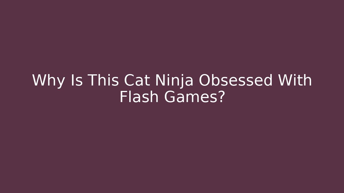 Why Is This Cat Ninja Obsessed With Flash Games?