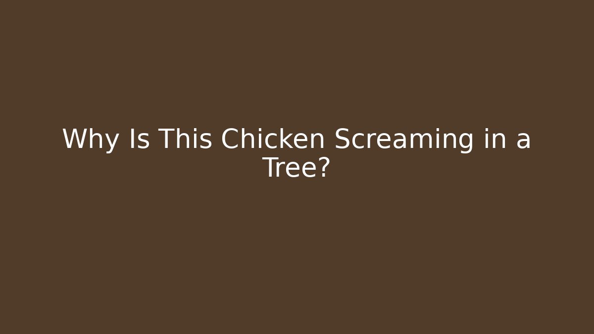 Why Is This Chicken Screaming in a Tree?