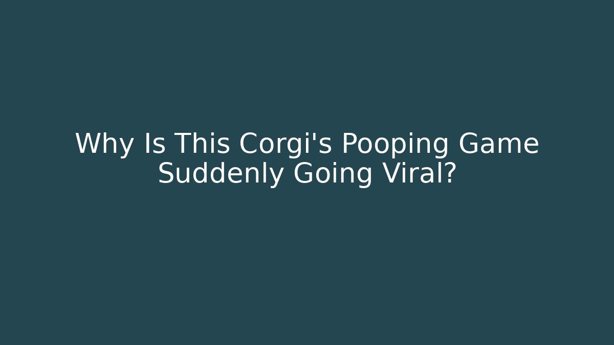 Why Is This Corgi's Pooping Game Suddenly Going Viral?