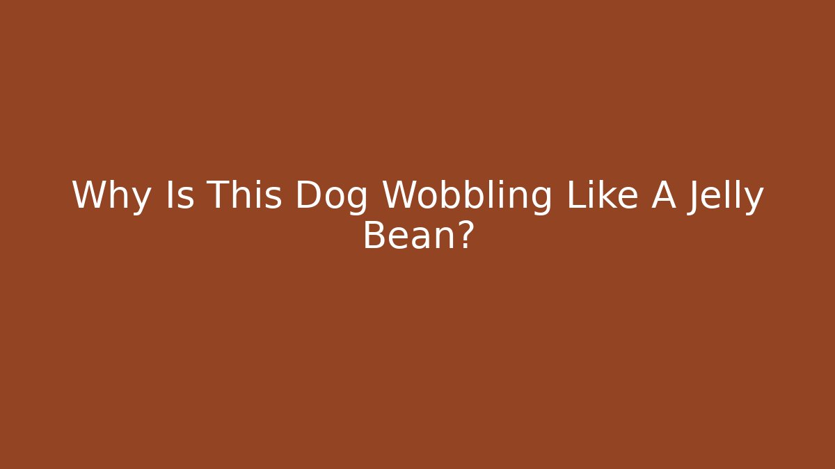 Why Is This Dog Wobbling Like A Jelly Bean? - Create More Assets