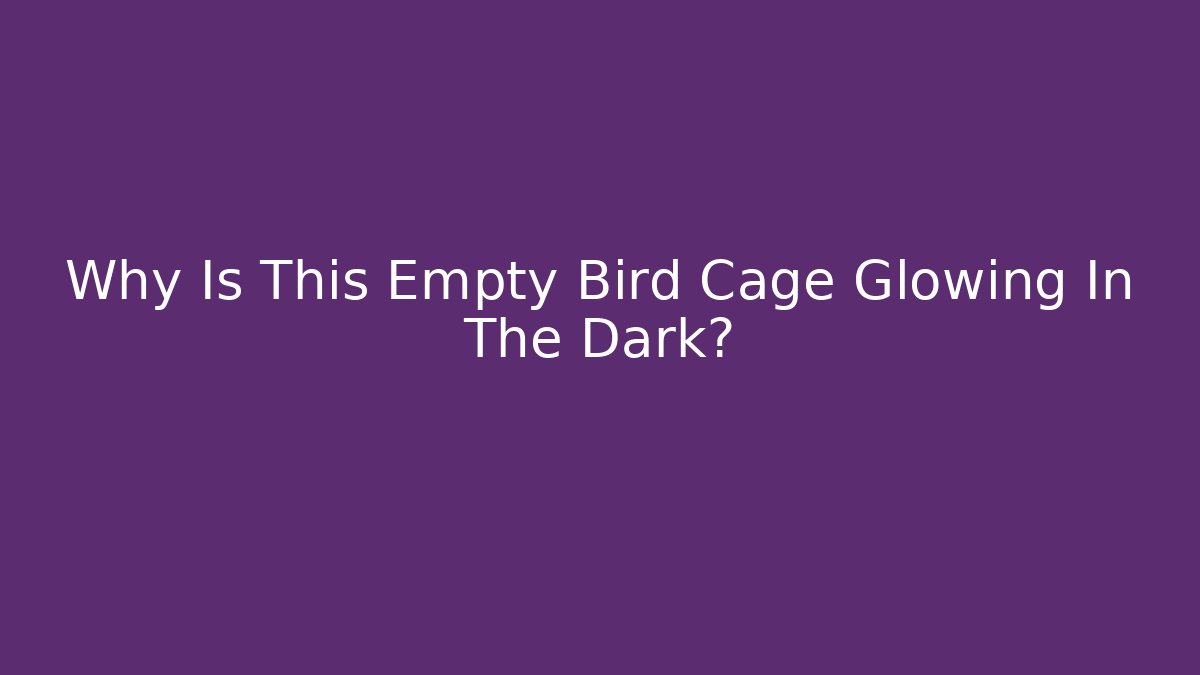 Why Is This Empty Bird Cage Glowing In The Dark?