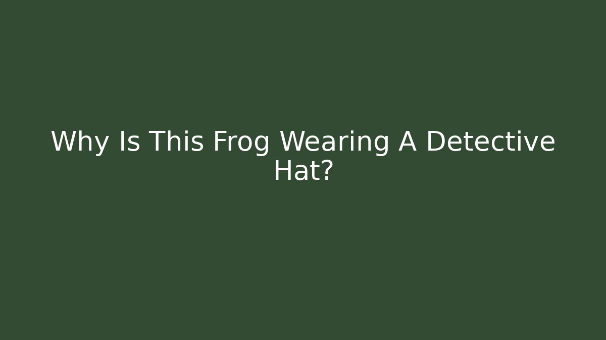 Why Is This Frog Wearing A Detective Hat?