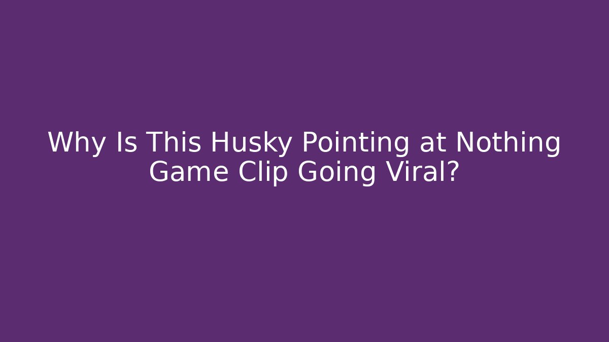 Why Is This Husky Pointing at Nothing Game Clip Going Viral?