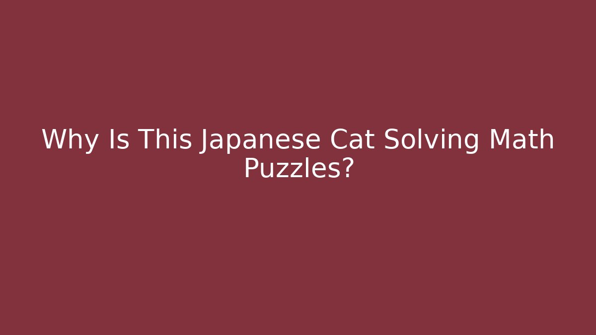 Why Is This Japanese Cat Solving Math Puzzles?