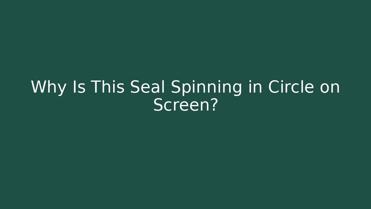 Why Is This Seal Spinning in Circle on Screen?