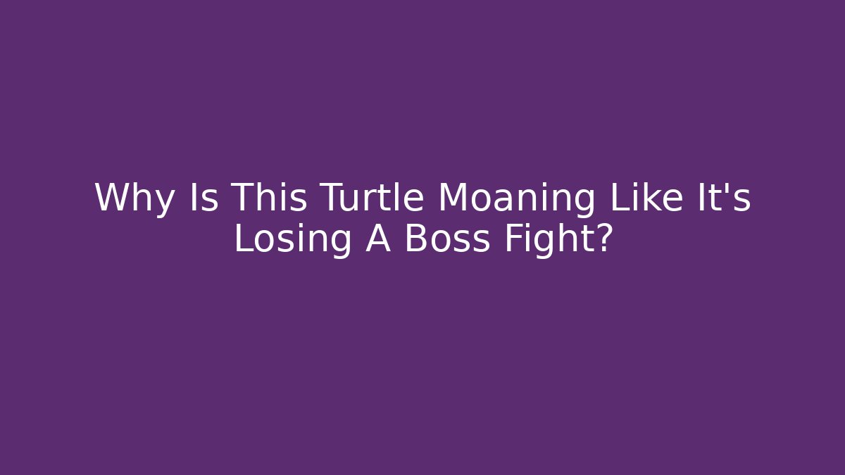 Why Is This Turtle Moaning Like It’s Losing A Boss Fight? - Create More Assets