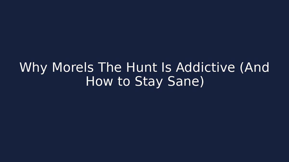 Why Morels The Hunt Is Addictive (And How to Stay Sane)