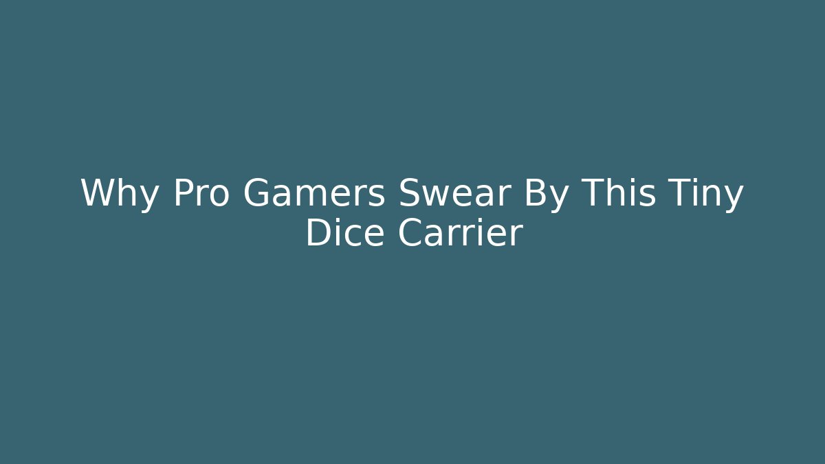 Why Pro Gamers Swear By This Tiny Dice Carrier