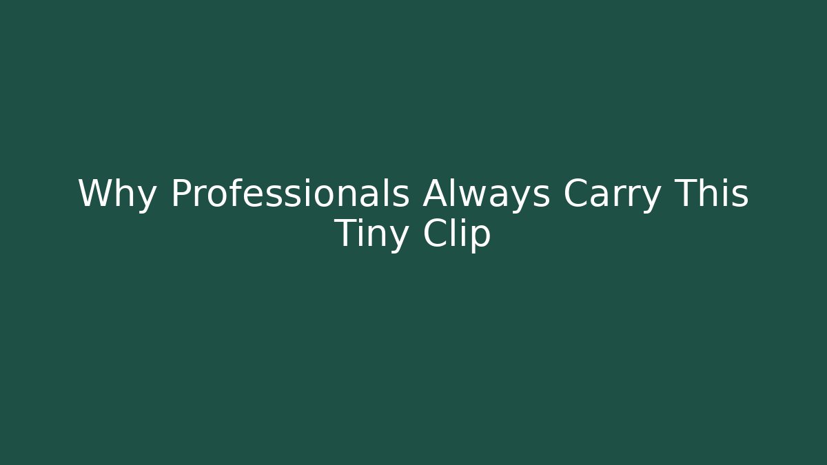 Why Professionals Always Carry This Tiny Clip