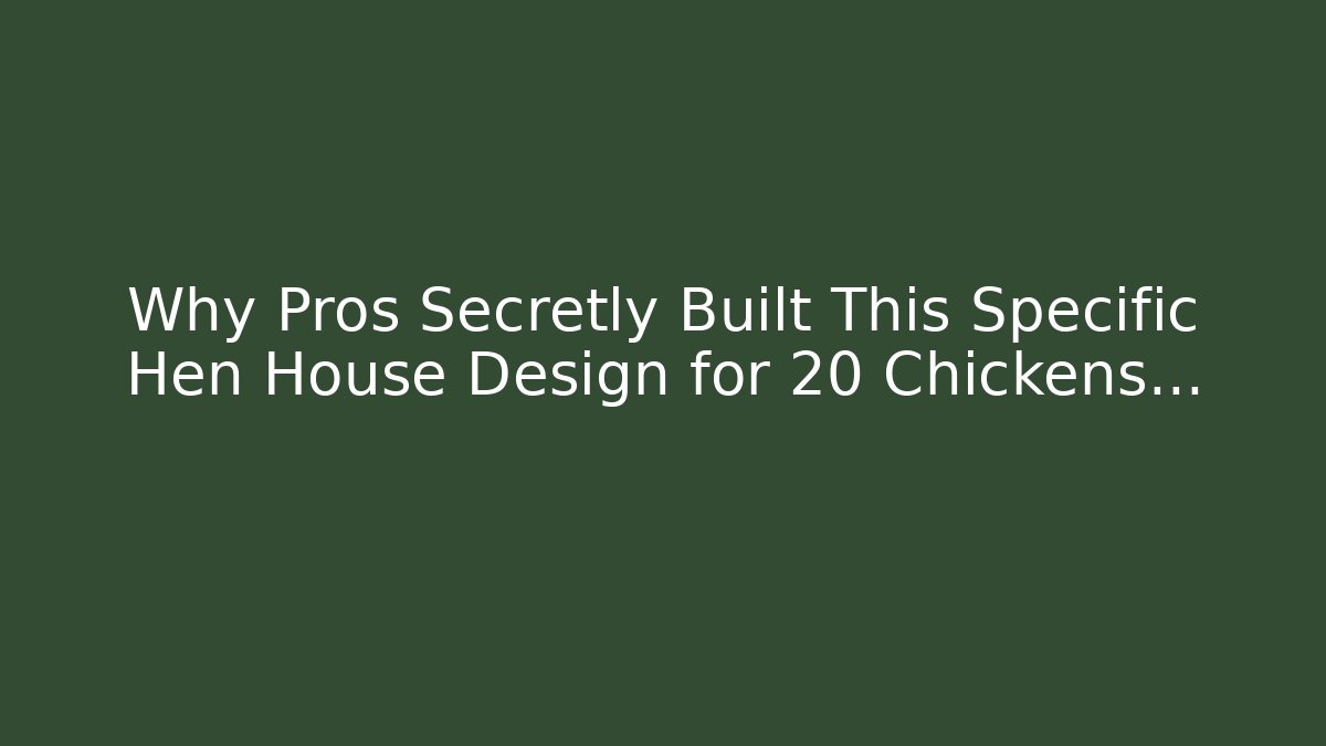Why Pros Secretly Built This Specific Hen House Design for 20 Chickens...
