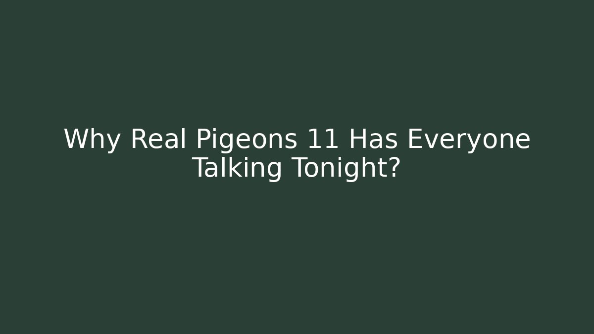 Why Real Pigeons 11 Has Everyone Talking Tonight?