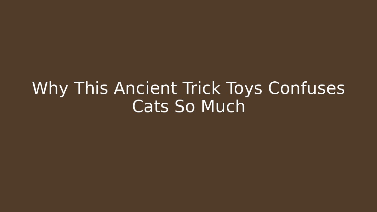 Why This Ancient Trick Toys Confuses Cats So Much