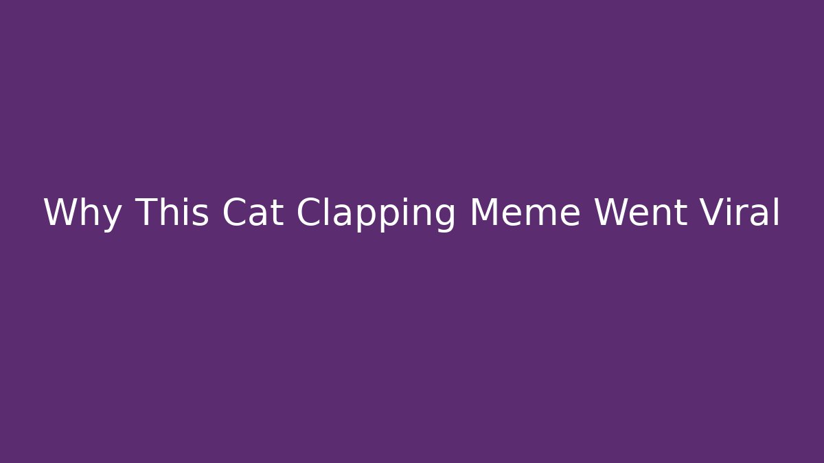 Why This Cat Clapping Meme Went Viral