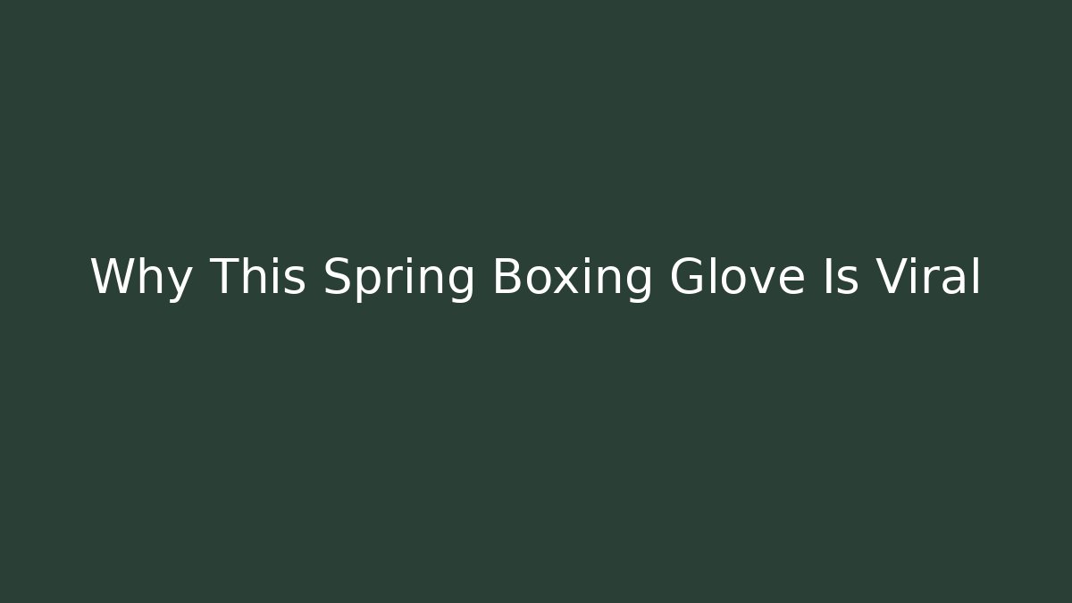 Why This Spring Boxing Glove Is Viral