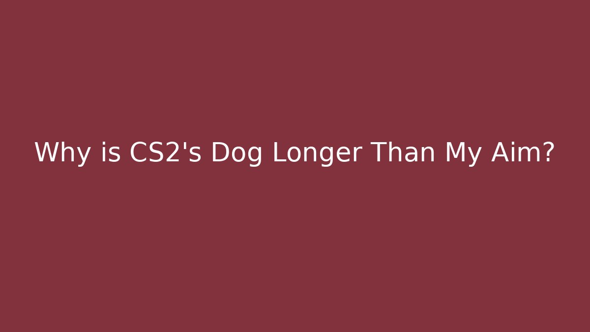 Why is CS2's Dog Longer Than My Aim?