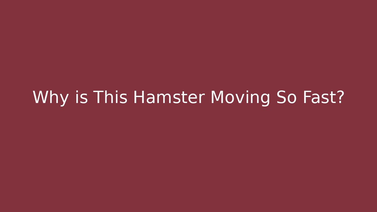 Why is This Hamster Moving So Fast? - Create More Assets