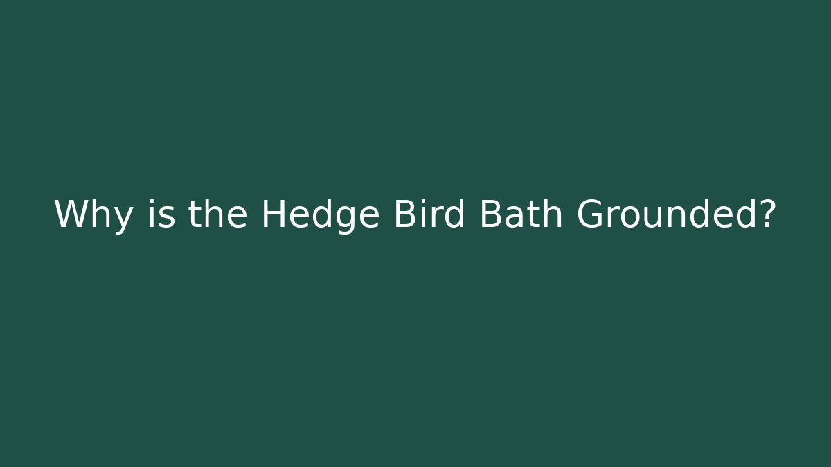 Why is the Hedge Bird Bath Grounded?