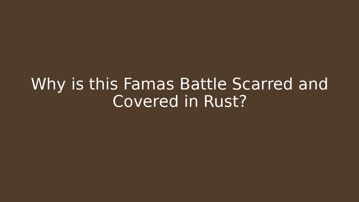 Why is this Famas Battle Scarred and Covered in Rust?