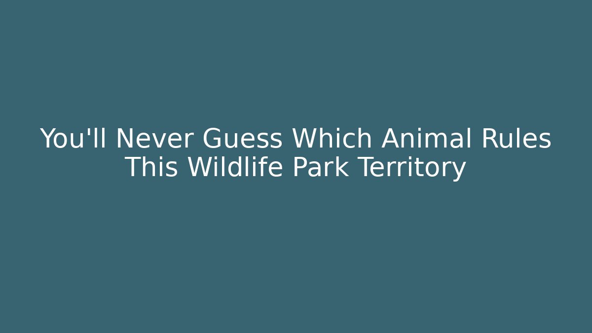 You'll Never Guess Which Animal Rules This Wildlife Park Territory
