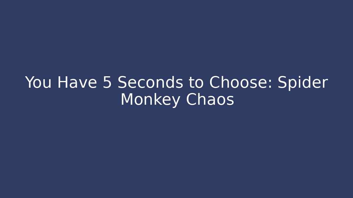You Have 5 Seconds to Choose: Spider Monkey Chaos - Create More Assets
