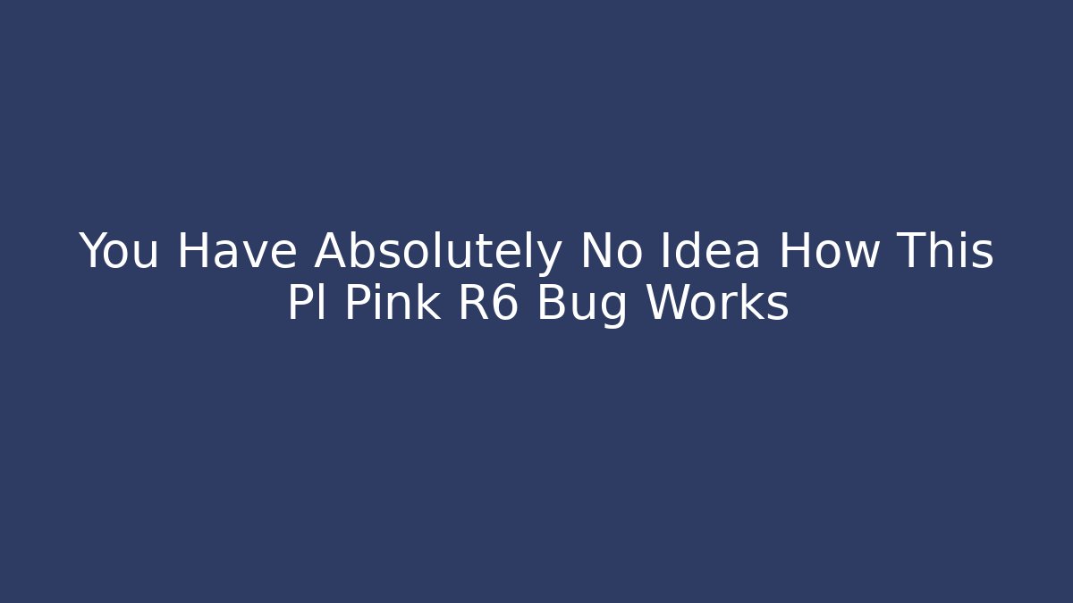 You Have Absolutely No Idea How This Pl Pink R6 Bug Works