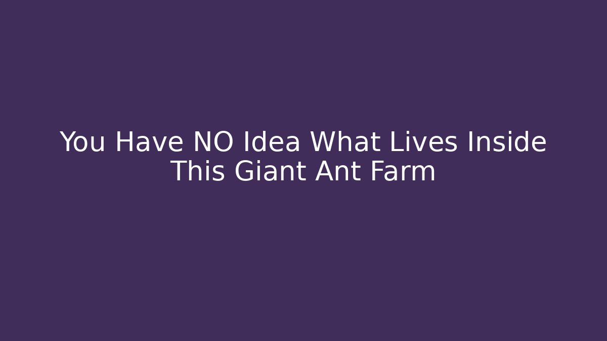 You Have NO Idea What Lives Inside This Giant Ant Farm