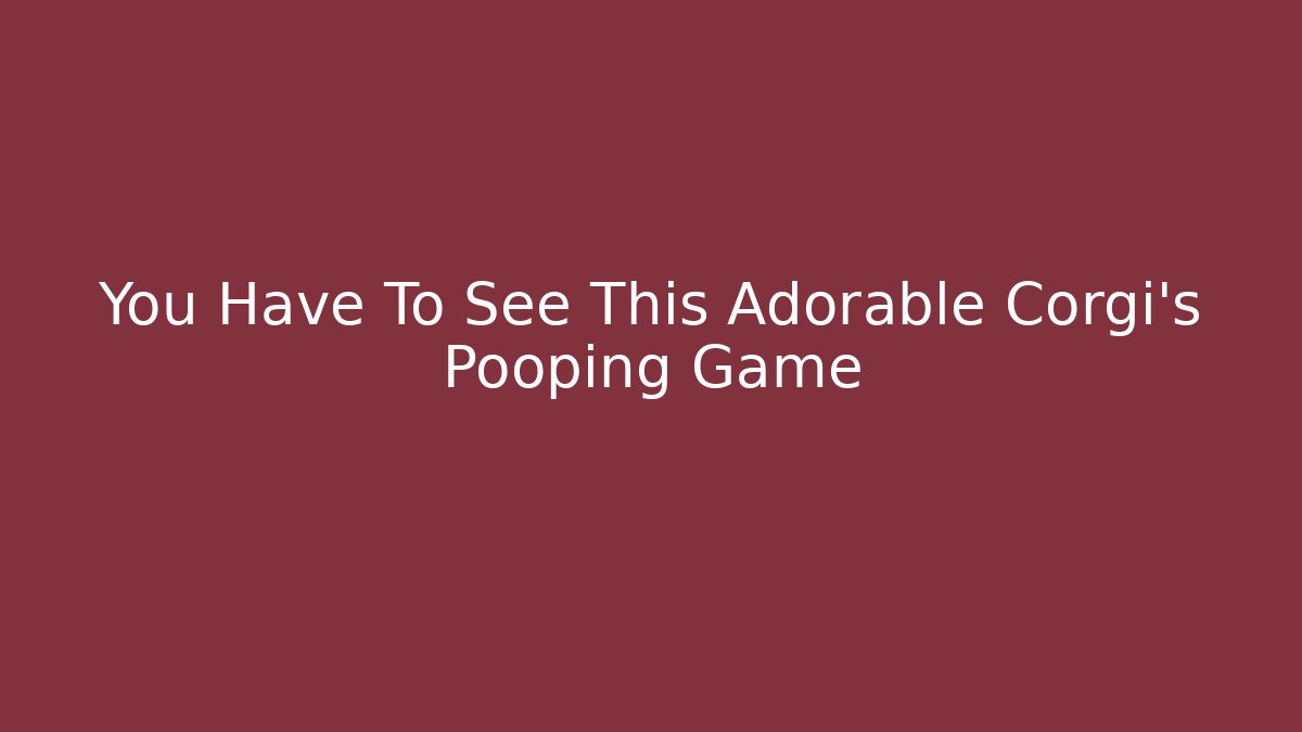 You Have To See This Adorable Corgi's Pooping Game