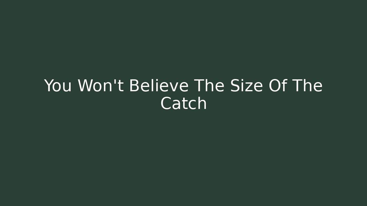 You Won't Believe The Size Of The Catch