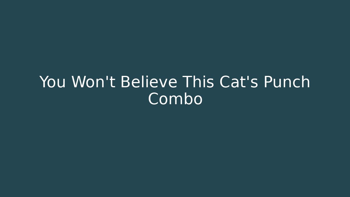 You Won't Believe This Cat's Punch Combo