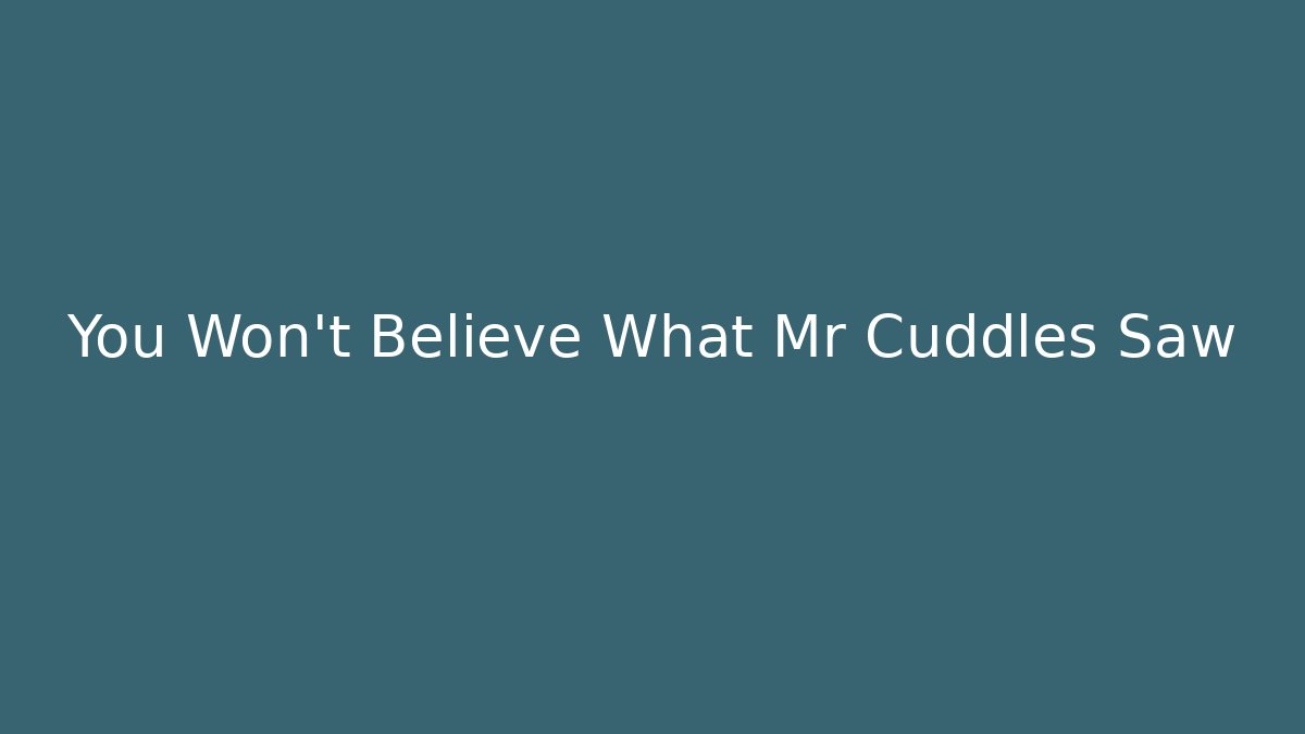 You Won't Believe What Mr Cuddles Saw - Create More Assets
