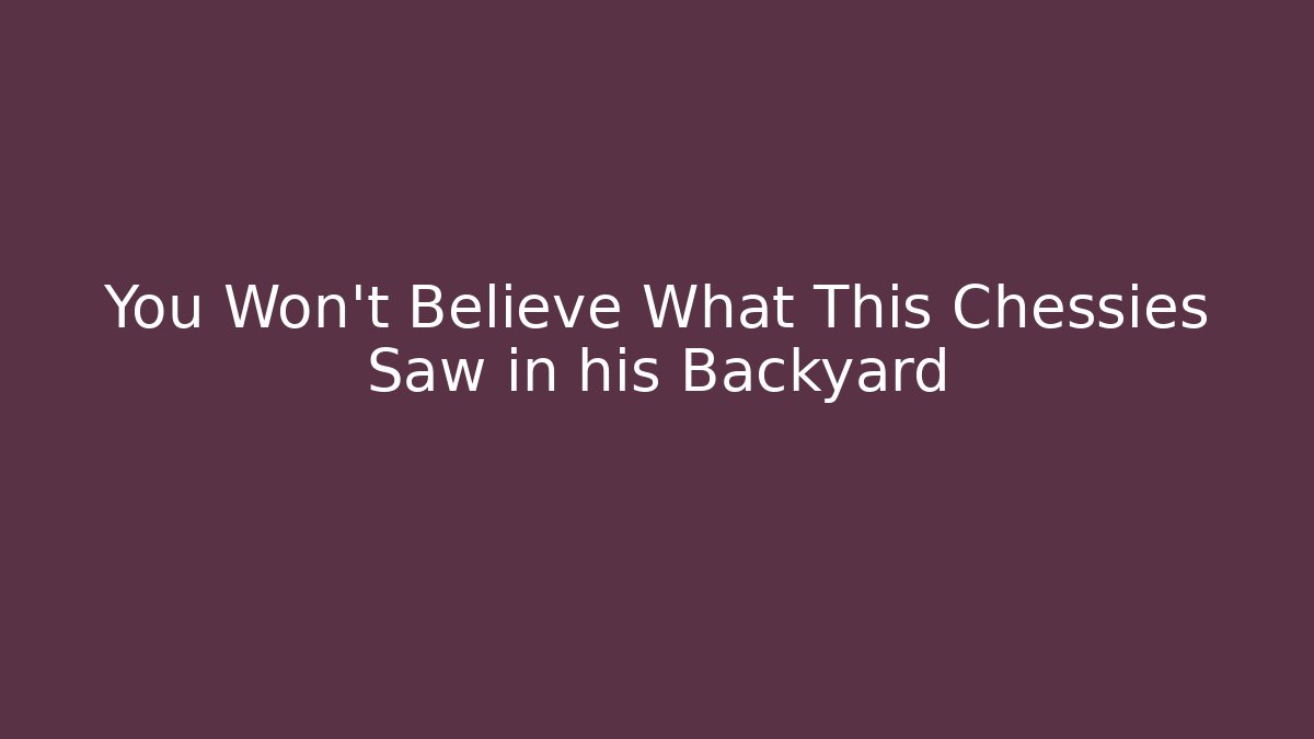 You Won't Believe What This Chessies Saw in his Backyard