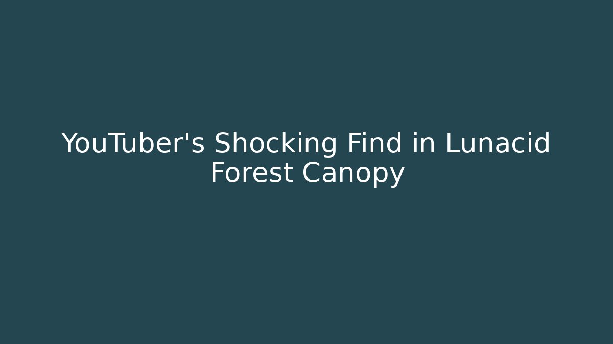 YouTuber's Shocking Find in Lunacid Forest Canopy
