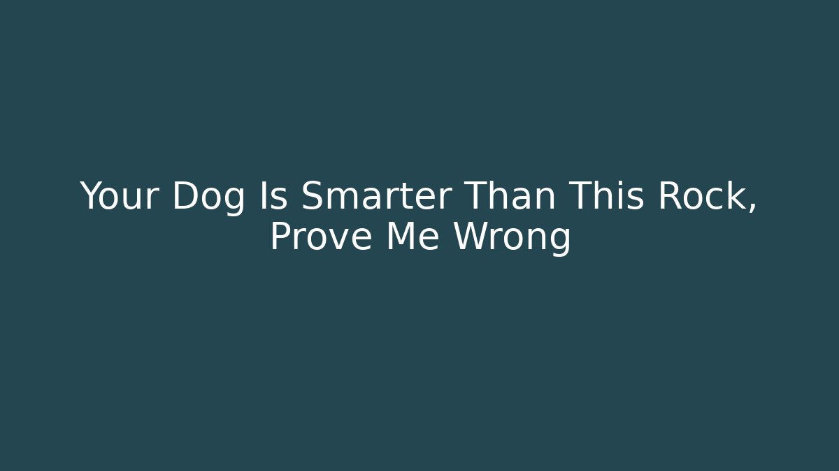 Your Dog Is Smarter Than This Rock, Prove Me Wrong