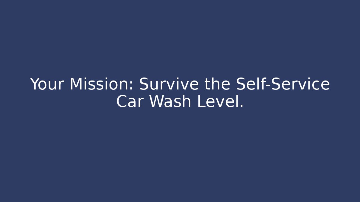 Your Mission: Survive the Self-Service Car Wash Level.
