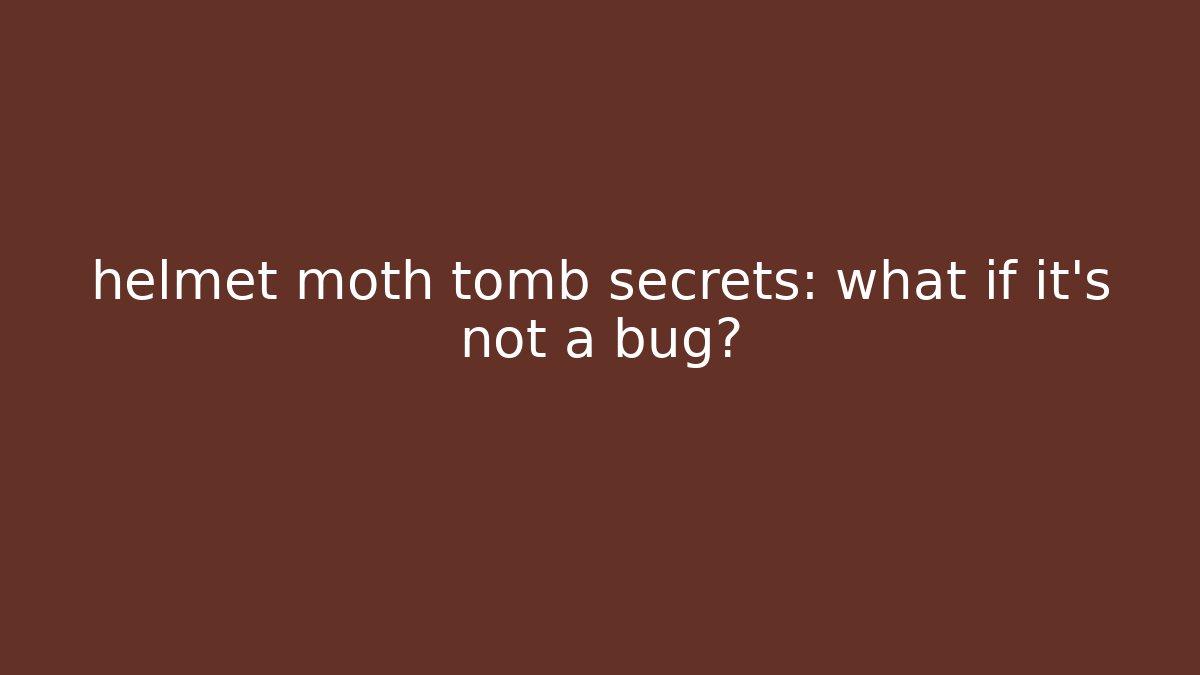 helmet moth tomb secrets: what if it's not a bug? - Create More Assets
